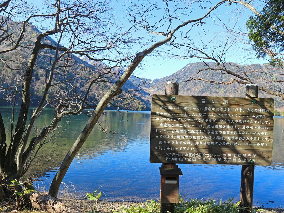Okunikko Park Lodge Miyama Luaran gambar